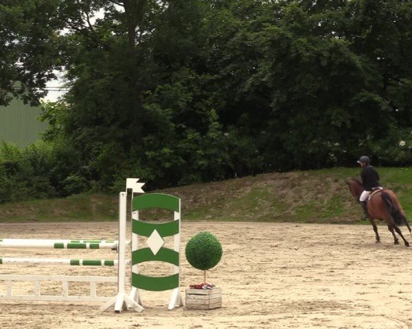Reitturnier Fröndenberg 2024