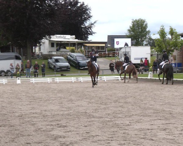 Reitturnier Fröndenberg 2024