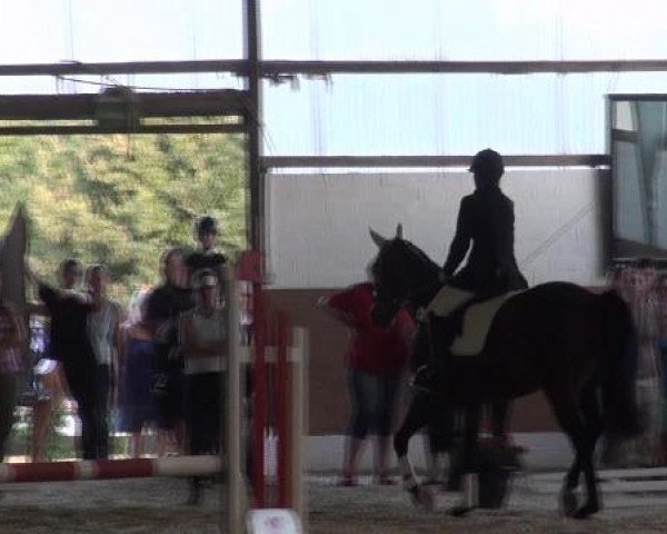 Datteln 2012