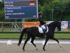 dressage horse Dua Lipa 14 (Hanoverian, 2017, from Hesselhøj Donkey Boy)