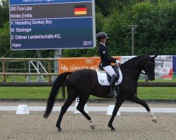 dressage horse Dua Lipa 14 (Hanoverian, 2017, from Hesselhøj Donkey Boy)