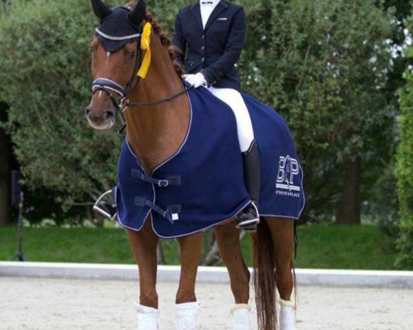 dressage horse Le Beau 73 (Hanoverian, 2016, from Londontime)