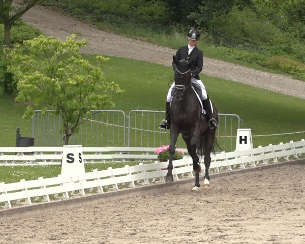 Reitturnier Nörten-Hardenberg 2024