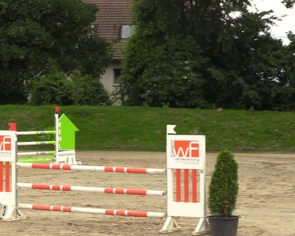 Reitturnier Fröndenberg 2024