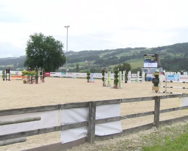Reitturnier Hitzkirch 2024