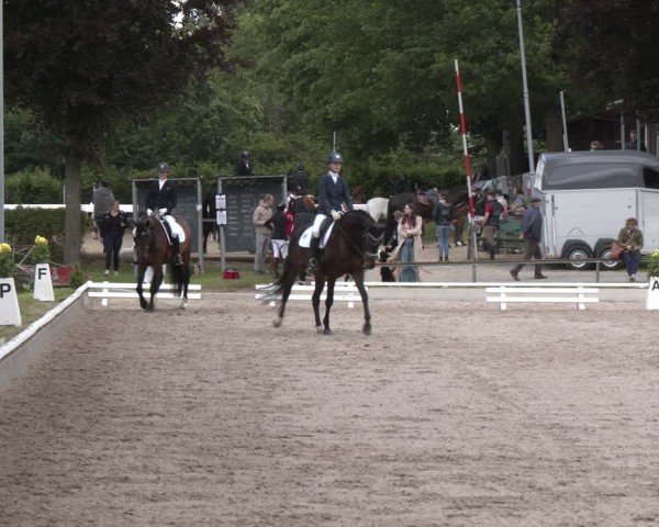 Reitturnier Fröndenberg 2024