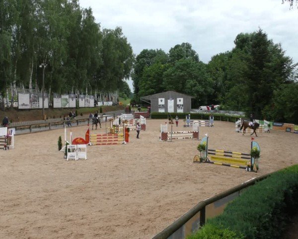 Reitturnier Berching/Opf. 2024