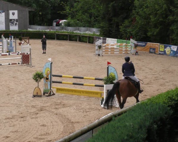 Reitturnier Berching/Opf. 2024