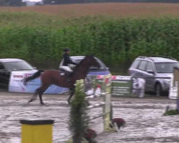 Reit- und Springturnier des LRFV Recklinghausen e.V. vom 23.-26.08.2012
