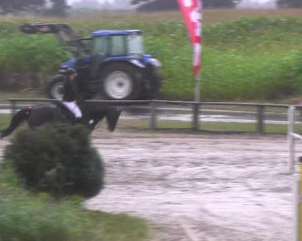 Reit- und Springturnier des LRFV Recklinghausen e.V. vom 23.-26.08.2012