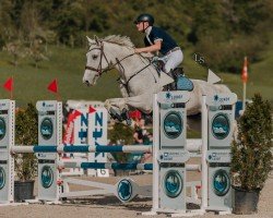 Springpferd Heartbreak Pearl CH (Schweizer Warmblut, 2009, von Heartbreaker)