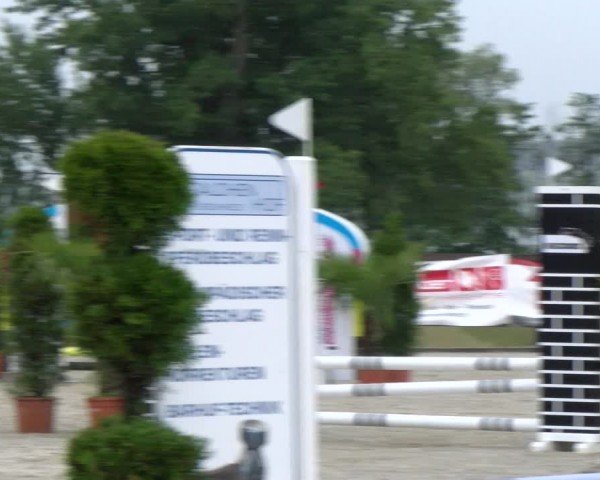 Reitturnier Hitzkirch 2024
