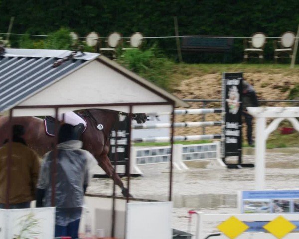 Reitturnier Mücke-Atzenhain 2024