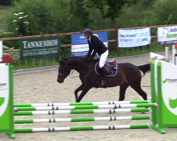 Reitturnier Sörup 2024