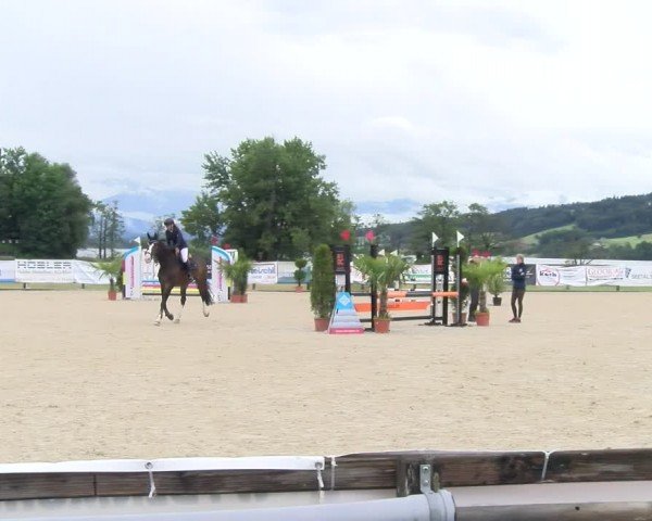 Reitturnier Hitzkirch 2024