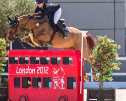 jumper Que Sera 15 (Hanoverian, 2005, from Quidam's Rubin)