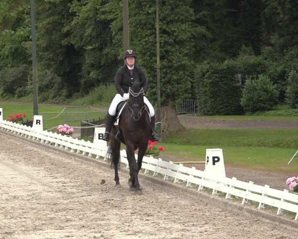Reitturnier Nörten-Hardenberg 2024
