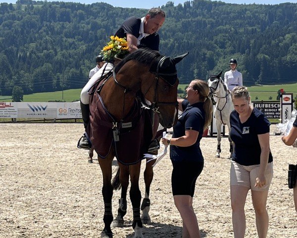 Springpferd Cambia Wey Ch (Schweizer Warmblut, 2006, von Chameur)