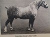 stallion Theo (Alt-Oldenburger / Ostfriesen, 1919, from Tello)