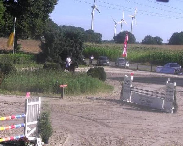 Reit- und Springturnier des LRFV Recklinghausen e.V. vom 23.-26.08.2012