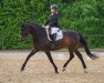 dressage horse Sissi Fleur (German Sport Horse, 2018, from Secret)