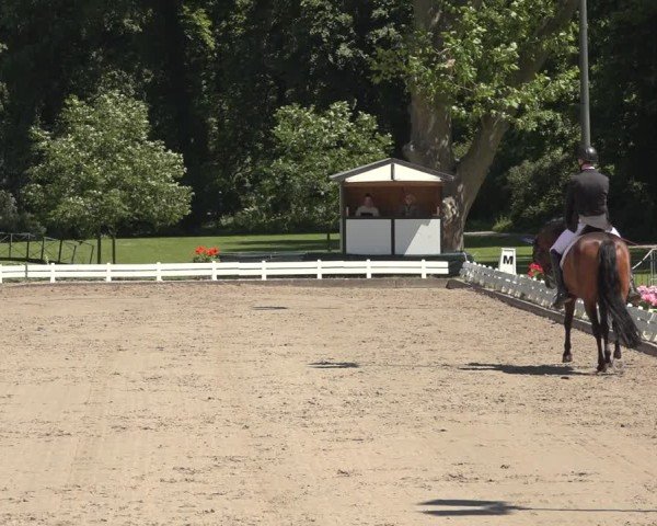 Reitturnier Nörten-Hardenberg 2024