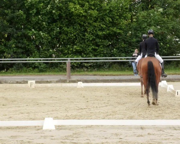 Reitturnier Winnenden 2024
