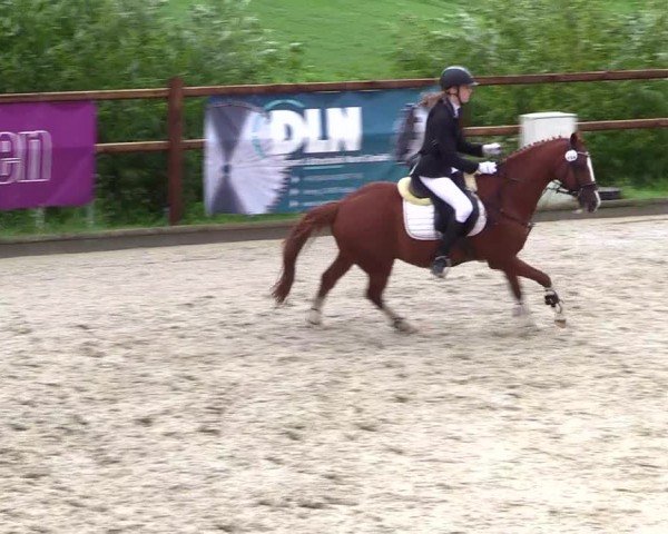 Reitturnier Sörup 2024
