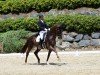 dressage horse Don Frederico's (Austrian Warmblood, 2013, from Don Frederico)