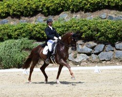 dressage horse Don Frederico's (Austrian Warmblood, 2013, from Don Frederico)