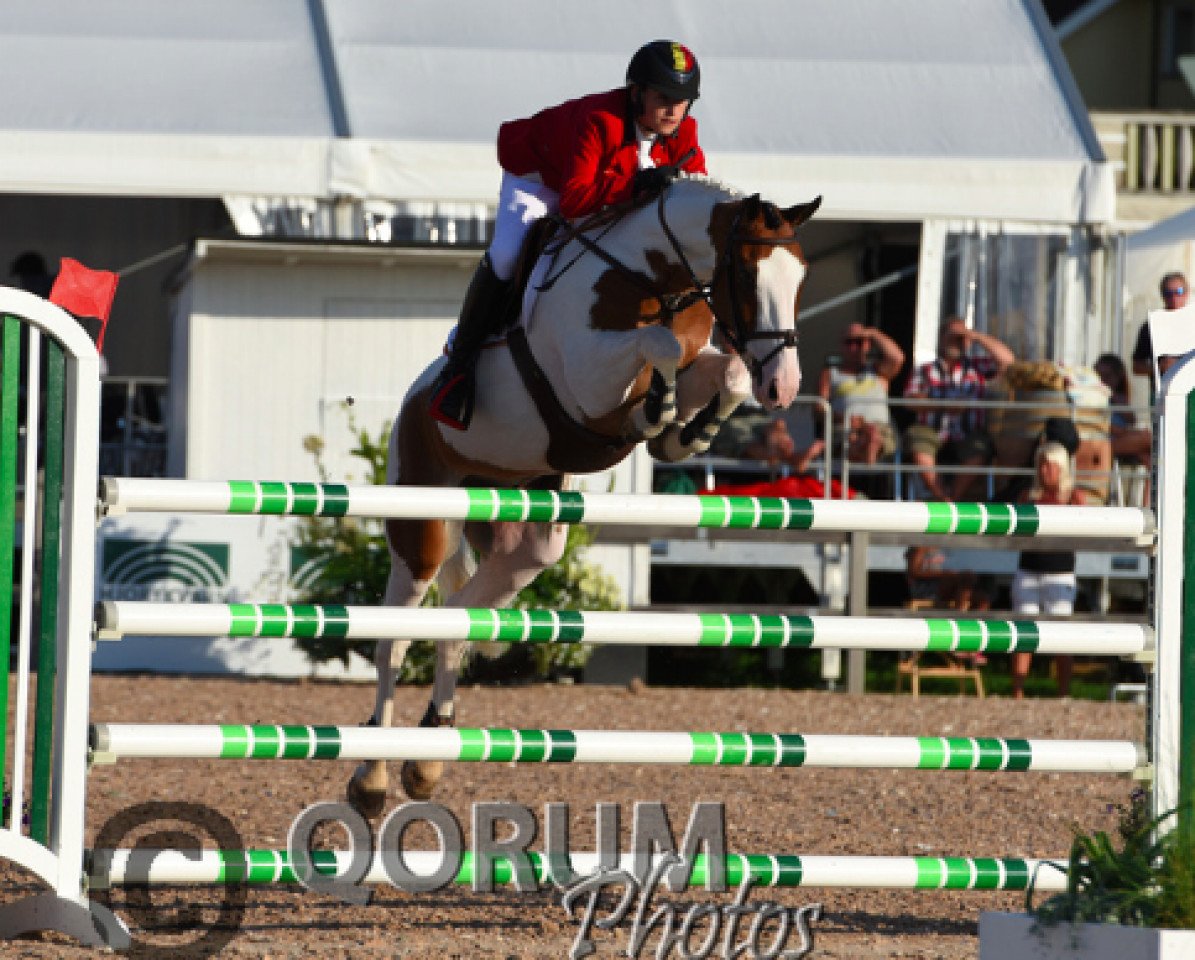 jumper Okehurst Little Bow Wow (Pony without race description, 1999)