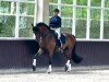 dressage horse Idool B (KWPN (Royal Dutch Sporthorse), 2013, from Glock's Dream Boy)