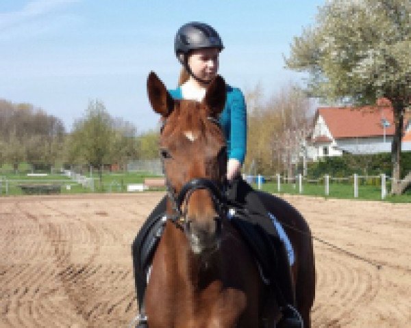 dressage horse Oxana II (Trakehner, 2003, from Oxford)