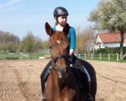 dressage horse Oxana II (Trakehner, 2003, from Oxford)