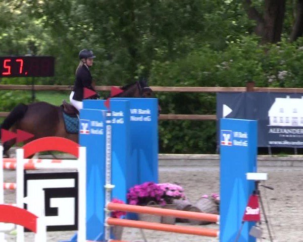 Reitturnier Sörup 2024