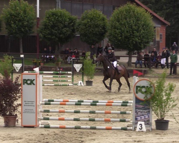 Reitturnier Schönfeld 2024