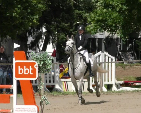 Reitturnier Springe 2024