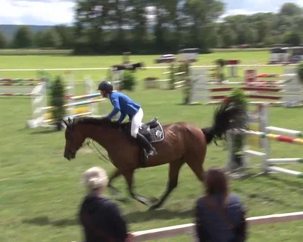 Reitturnier Bad Windsheim/Mfr. 2024