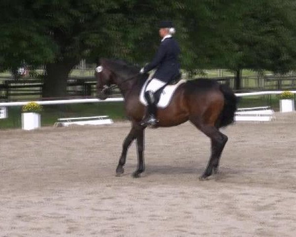Reit- und Springturnier des LRFV Recklinghausen e.V. vom 23.-26.08.2012