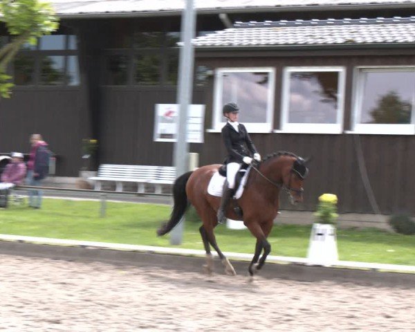 Reitturnier Fröndenberg 2024