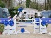 jumper Diaconda (Oldenburg show jumper, 2015, from Diacontinus)