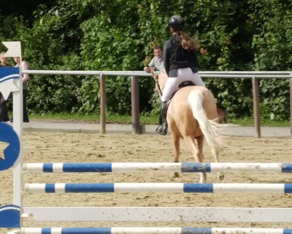Reitturnier Winnenden 2024