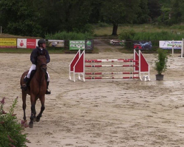 Reitturnier Schönfeld 2024