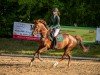 jumper Very exclusive (Oldenburg show jumper, 2018, from Vivaldi du Seigneur)