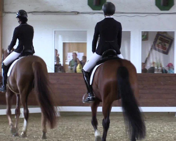 Reitturnier Coesfeld/Lette 2024