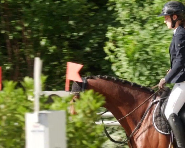 Reitturnier Winnenden 2024
