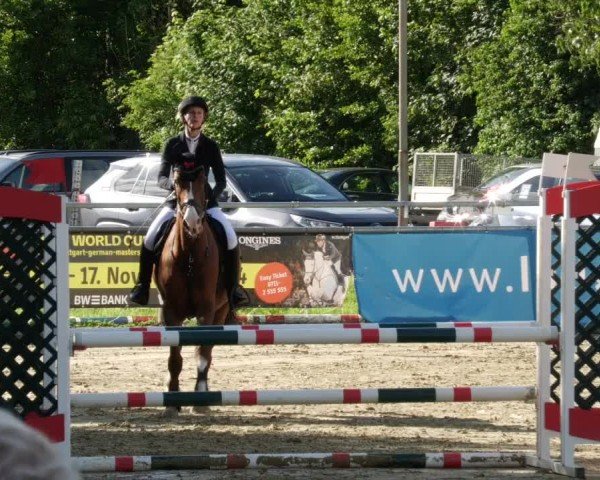 Reitturnier Winnenden 2024