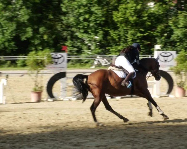 Reitturnier Winnenden 2024