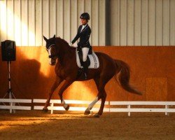 dressage horse Fürstin Jamaika (Bavarian, 2005, from Cointreau)