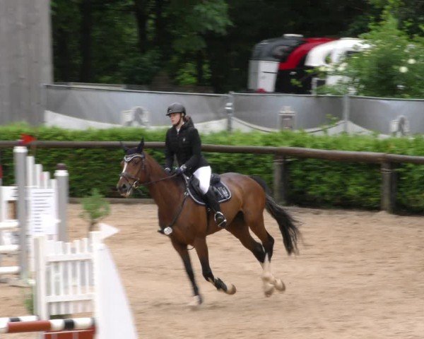 Reitturnier Berching/Opf. 2024